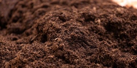 Close up of Soil