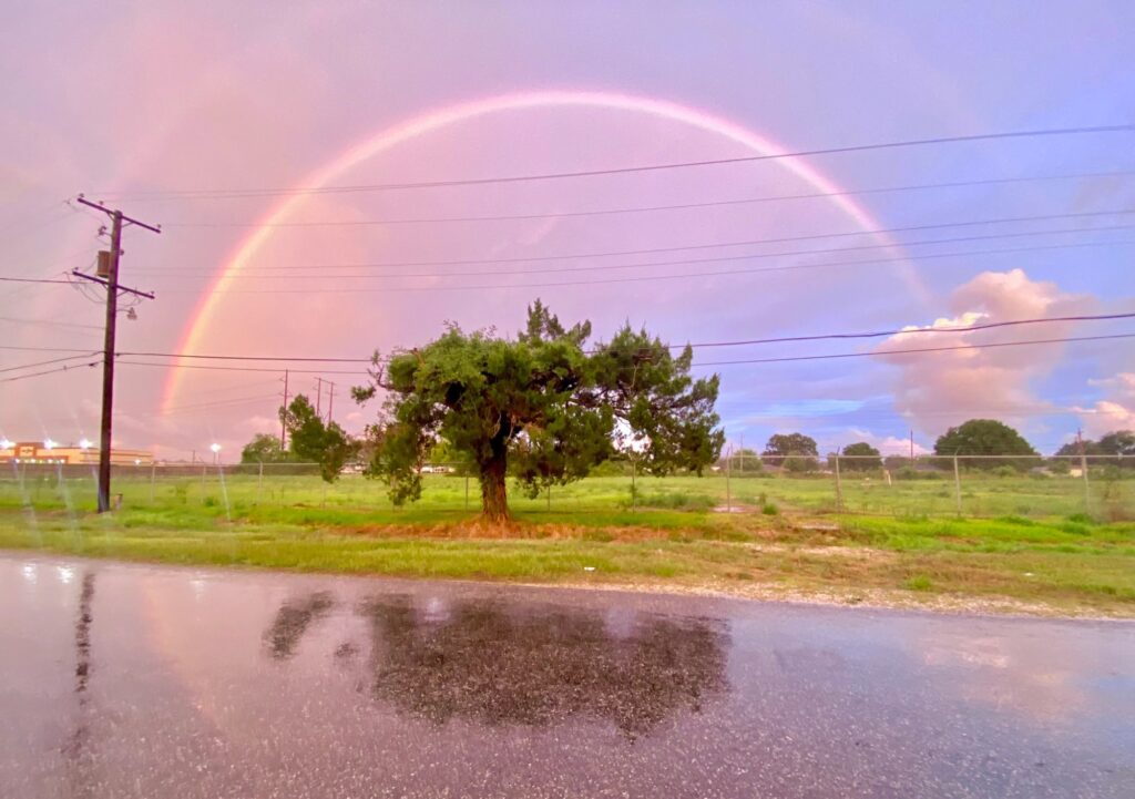 the same street now only contains a lone tree. A rainbow fills the horizon