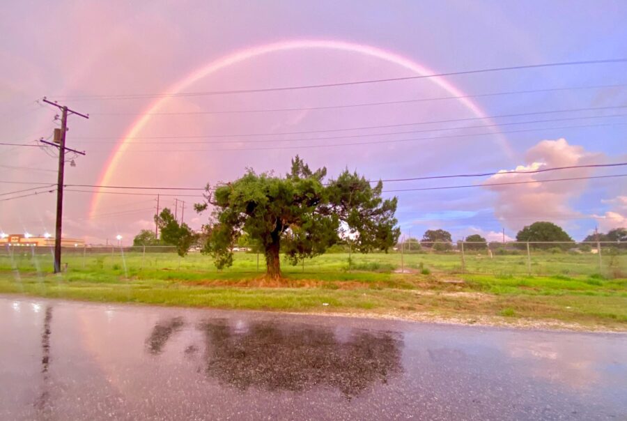 the same street now only contains a lone tree. A rainbow fills the horizon