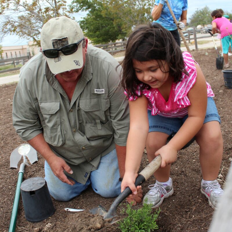 Small Actions To Give Back To The Environment In 2024 KTB Blog   Bee Bat Butterfly Garden Beautifing Photo Credit Keep Texas Beautiful 1 800x800 