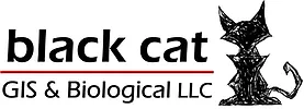 Black Cat GIS logo