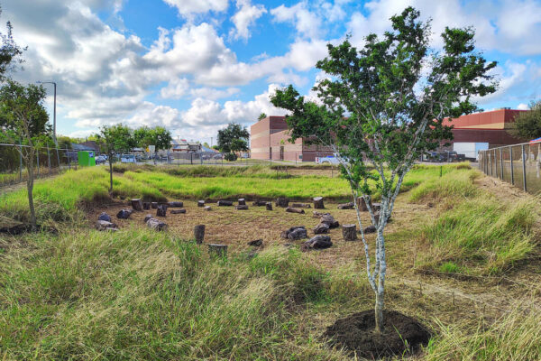 Brownsville_Pocket_Prairie Brownsville_Pocket_Prairie