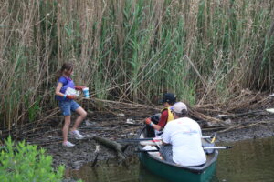 Cleanup- Trash bash, waterway cleanup, Family cleaning wetland area