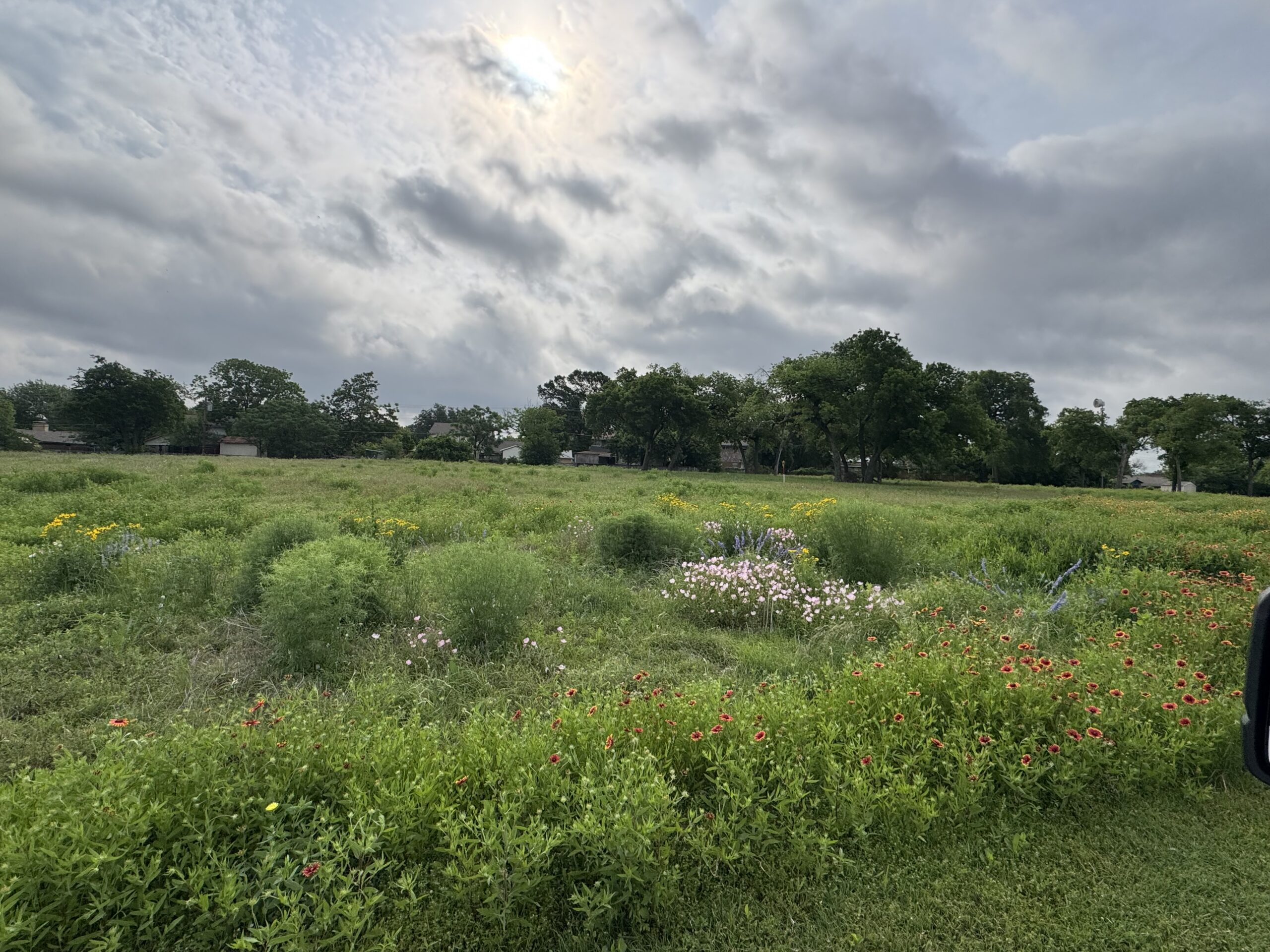 Spotlight: 2024-25 Our Texas, Our Future Grant Projects