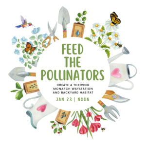 Feed the Pollinators webinar Jan 23 at noon