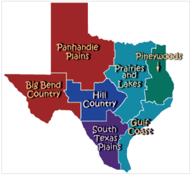 Making Waves - Keep Texas Beautiful