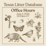 Texas Litter Database Office Hour webinar June 4 at noon