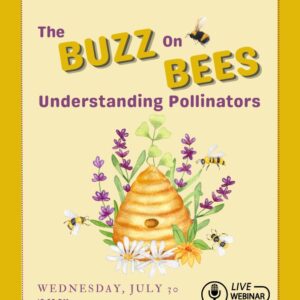 The Buzz on Bees webinar