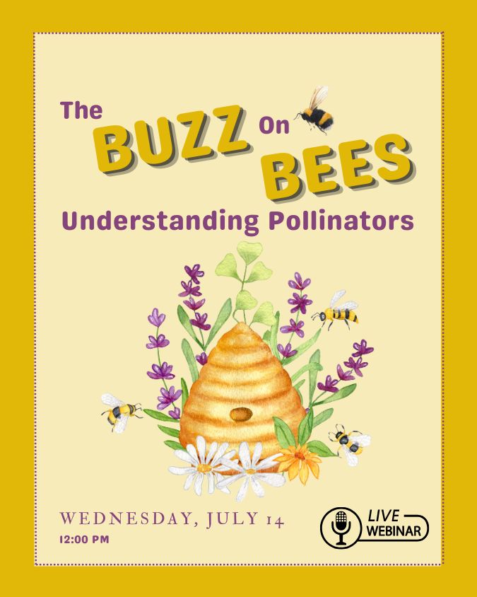 The Buzz on Bees webinar