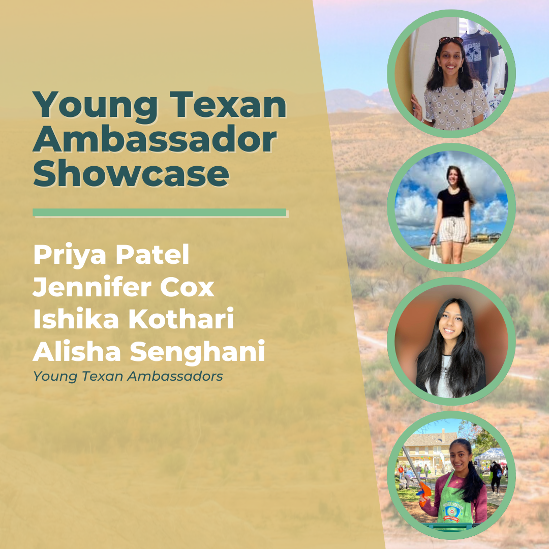 young texan ambassador showcase