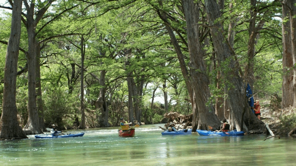 River Cleanup with kayaks and a rowboat