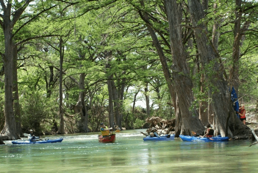 River Cleanup with kayaks and a rowboat